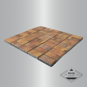 Тротуарная плитка BRAER, Прямоугольник, Color Mix Прайд