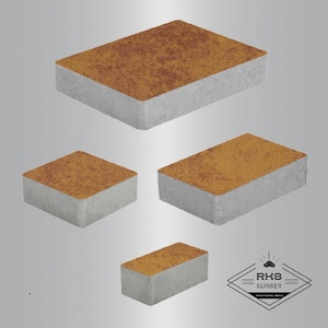 Тротуарная плитка ВЫБОР, "МЮНХЕН" - Б.2.ФСМ.6 Листопад гладкий Каир