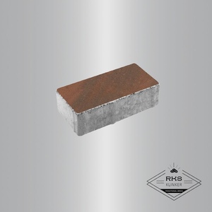 Тротуарная плитка ПРЯМОУГОЛЬНИК - А.2.П.4, Листопад гладкий, Клинкер