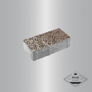 Тротуарная плитка ПРЯМОУГОЛЬНИК - А.2.П.4, Листопад гладкий, Хаски