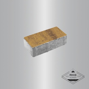 Тротуарная плитка ПРЯМОУГОЛЬНИК - А.2.П.4, Листопад гладкий, Янтарь