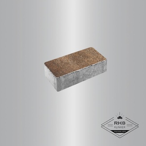 Тротуарная плитка ПРЯМОУГОЛЬНИК - А.2.П.4, Листопад гранит, Клён