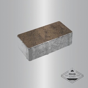 Тротуарная плитка ПРЯМОУГОЛЬНИК - Б.2.П.6, Листопад гладкий, Шелковица