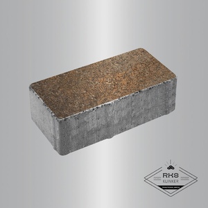 Тротуарная плитка ПРЯМОУГОЛЬНИК - Б.5.П.8, Листопад гладкий, Клён