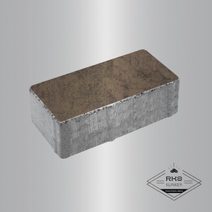 Тротуарная плитка ПРЯМОУГОЛЬНИК - Б.5.П.8, Листопад гладкий, Шелковица