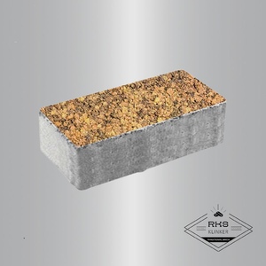 Тротуарная плитка ПРЯМОУГОЛЬНИК - В.2.П.10, Листопад гладкий, Саванна