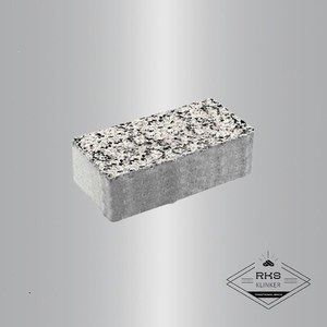 Тротуарная плитка ПРЯМОУГОЛЬНИК - В.2.П.10, Стоунмикс, Бело-чёрный