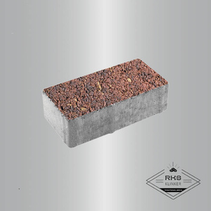 Тротуарная плитка ПРЯМОУГОЛЬНИК - Б.2.П.6 Листопад гранит, Осень