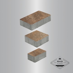 Тротуарная плитка СТАРЫЙ ГОРОД - Б.1.Фсм.8, Листопад гранит, Клён