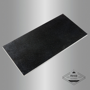 Гранитная плитка Absolute Black, Thermo/Polished
