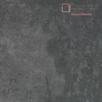 Клинкерные ступени и плитка WesterWalder WKS31170