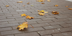 Клинкер тротуарный ЛСР Мюнхен, коричневый 4