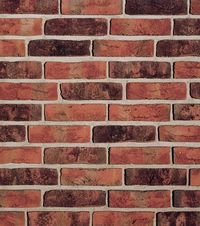 Кирпич облицовочный Formback graphit-bunt, 240х115х71 мм в Симферополе
