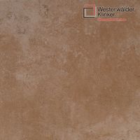 Клинкерные ступени и плитка WesterWalder WKS31150 в Симферополе